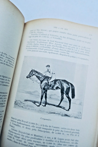 Pferderennenhistorisches pferd - pferderennenhistorisches,