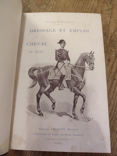 Exemplar eines grafen dressur - exemplar,